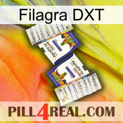 Filagra DXT 12